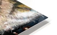 cheetah HD Metal print