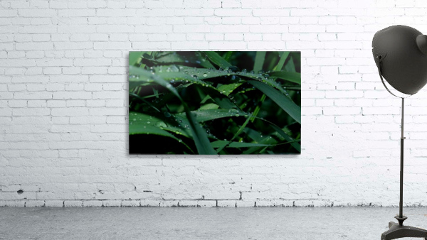keep it green Wall Preview