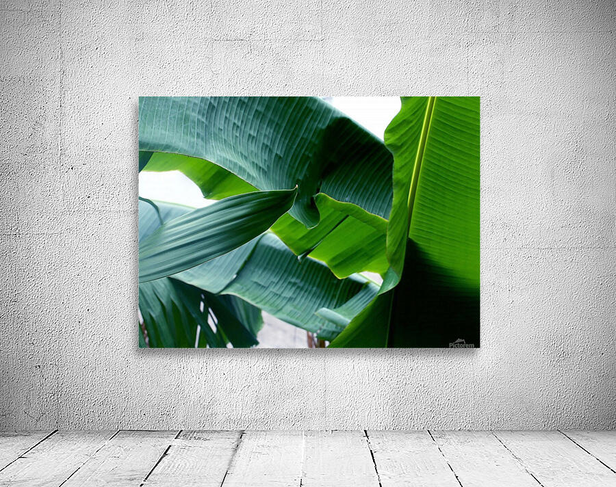 keep it green Wall Preview