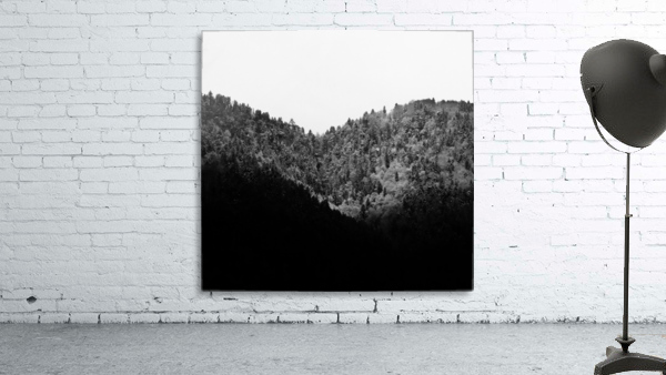 Tripin Swiss Wall Preview