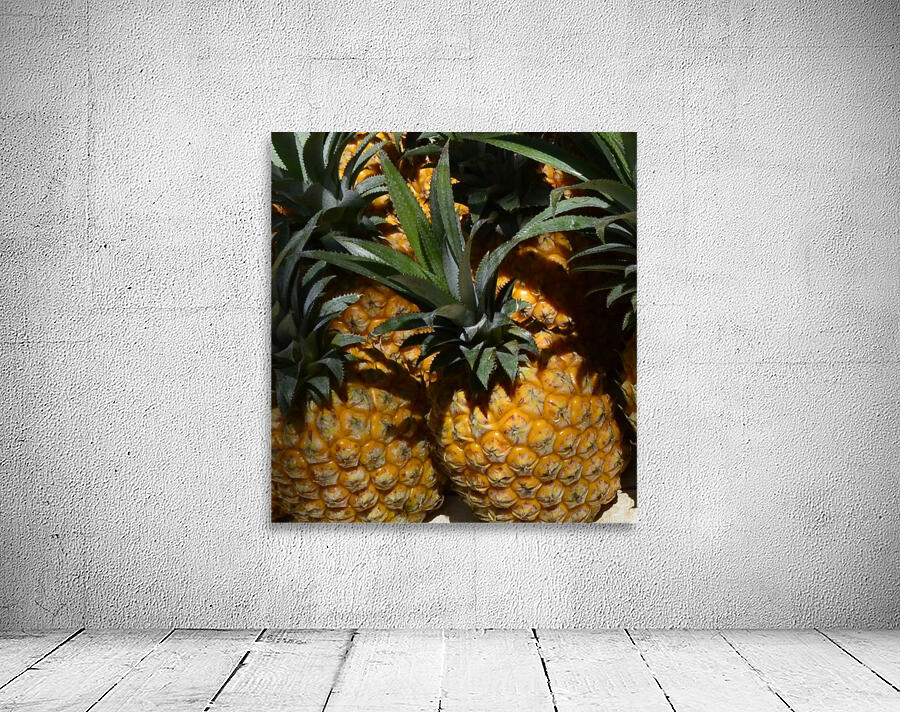 Tropic Wall Preview
