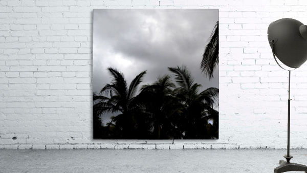 Tropic Wall Preview