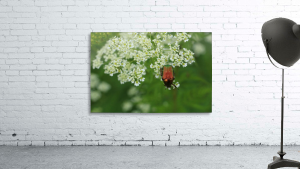 keep it green Wall Preview
