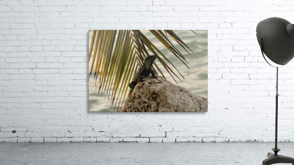 Trip in Mexico Wall Preview