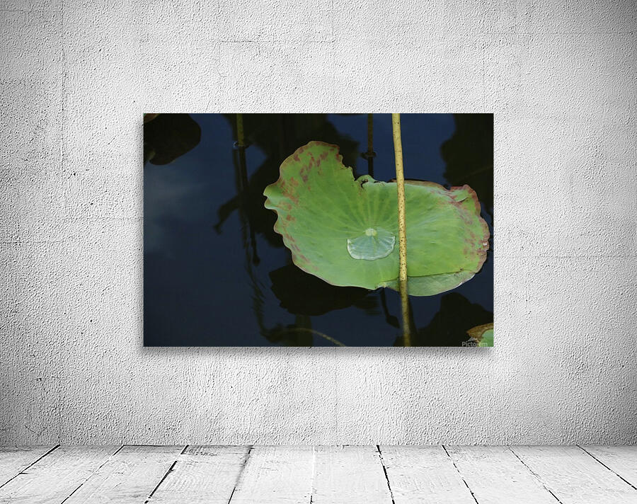 keep it green Wall Preview