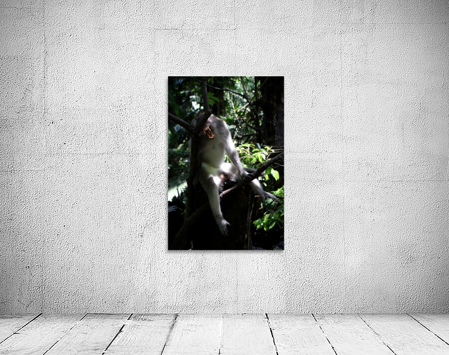 Monkey Forest Wall Preview