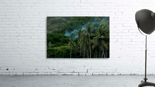 Feu - illes Wall Preview