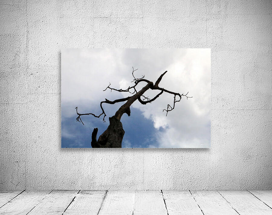 Link Tree Wall Preview