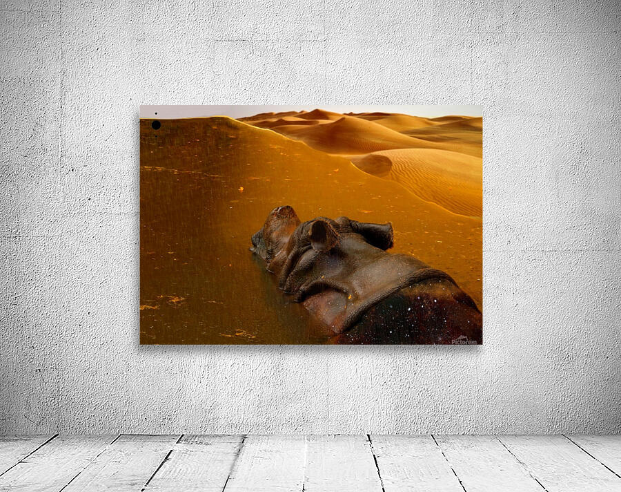 kənˈsistənsē Wall Preview