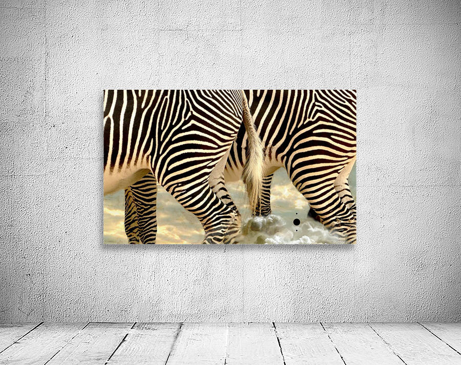 skī zebras Wall Preview