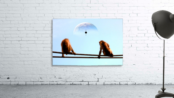 blue moon keys Wall Preview