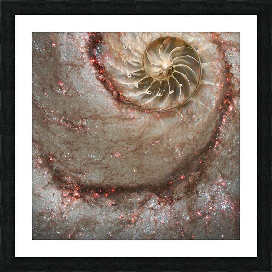 Celestial Coil Picture Frame print