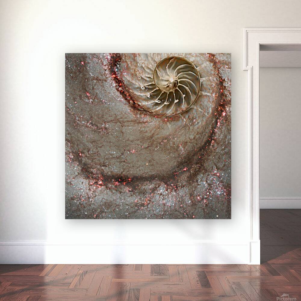 Celestial Coil Reproduction