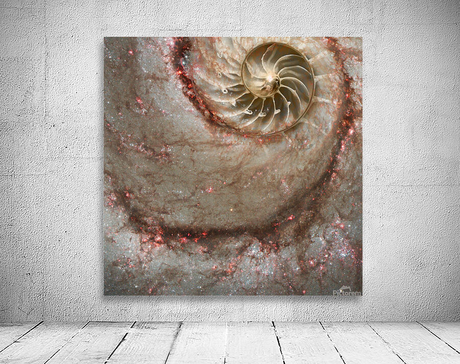 Celestial Coil Wall Preview