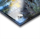 Sierra Mountain Stream  Acrylic print