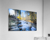 Sierra Mountain Stream  Acrylic Print