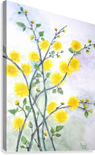 Sweet Yellow Blossom Canvas Print