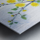 Sweet Yellow Blossom Metal print