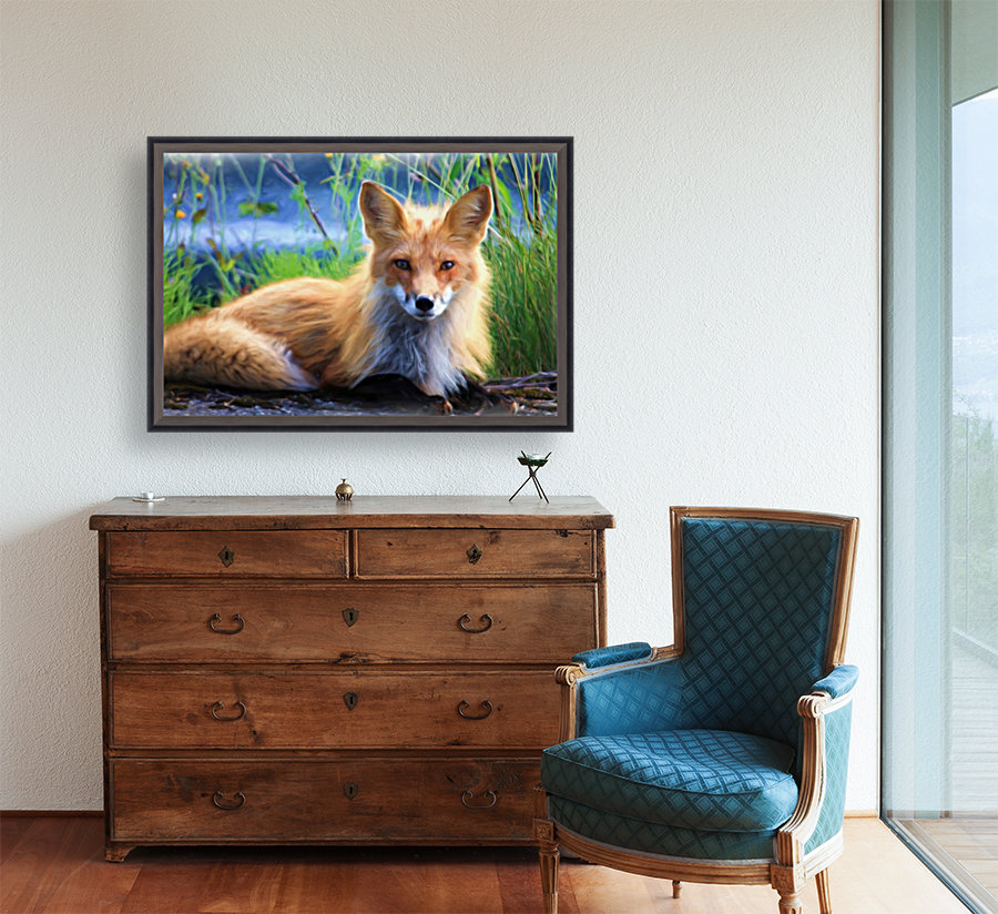 Beautiful Red Fox  Portrait Posing Reproduction