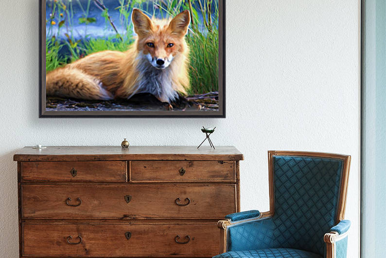 Beautiful Red Fox  Portrait Posing by Joy of Life