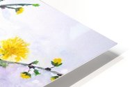 Sweet Yellow Blossom HD Metal print