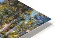 Sierra Mountain Stream  HD Metal print