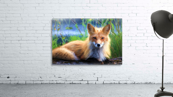 Beautiful Red Fox  Portrait Posing Wall Preview
