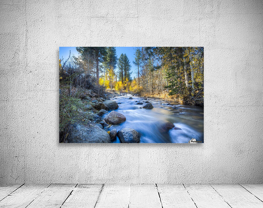 Sierra Mountain Stream  Wall Preview