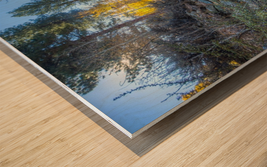 Sierra Mountain Stream  Wood print