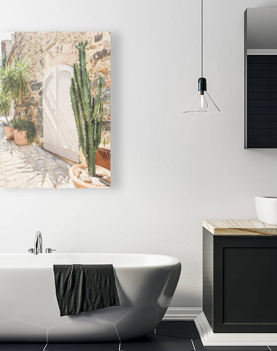 Green Mediterranean Cactus in Grimaud France Travel Photography French Riviera Cote dAzur Summer Print Urban Wanderlust Art by Radu Bercan