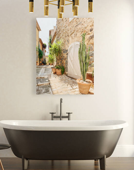 Mediterranean Cactus Print in Grimaud France Travel Photography French Riviera Cote dAzur Summer Print Urban Wanderlust Art by Radu Bercan