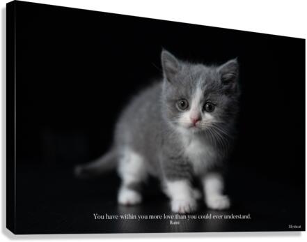You have within you… Canvas Print