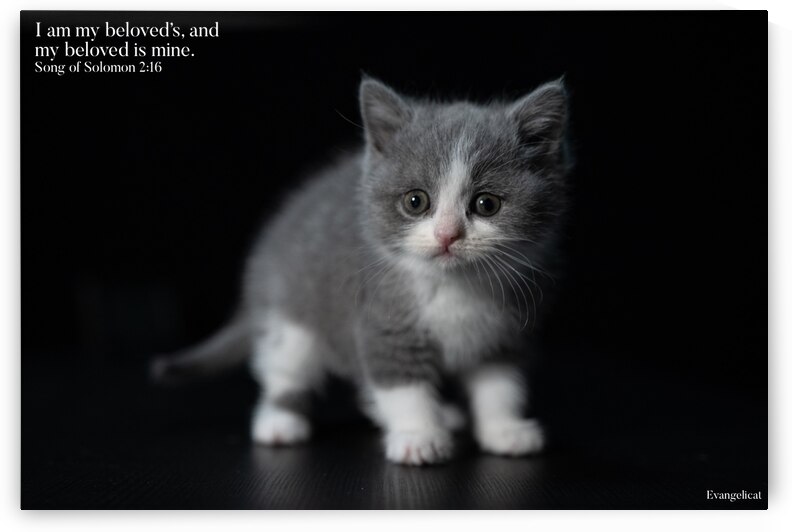 I am my beloved’s… by theologicats