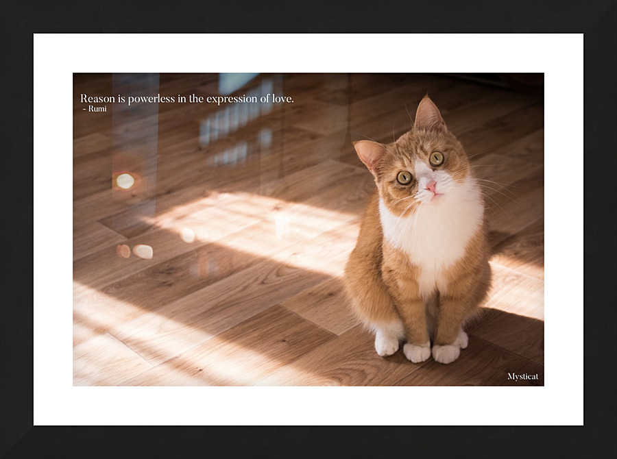 Reason is powerless… Picture Frame print