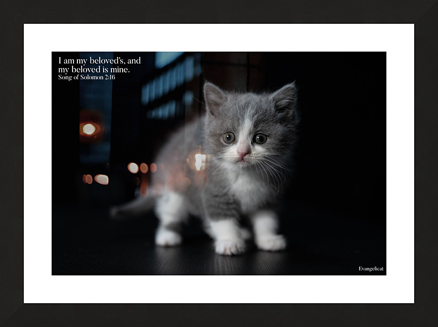 I am my beloved’s… Picture Frame print