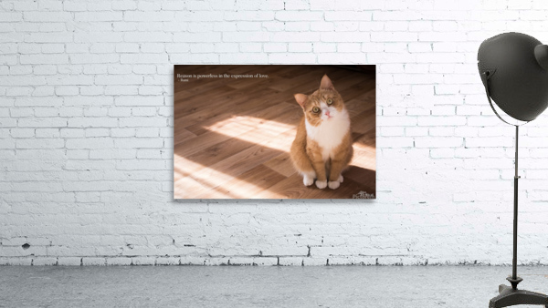 Reason is powerless… Wall Preview