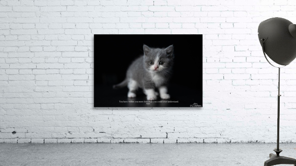 You have within you… Wall Preview