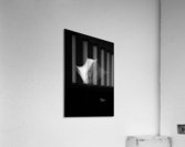 RAIE MANTA Acrylic Print
