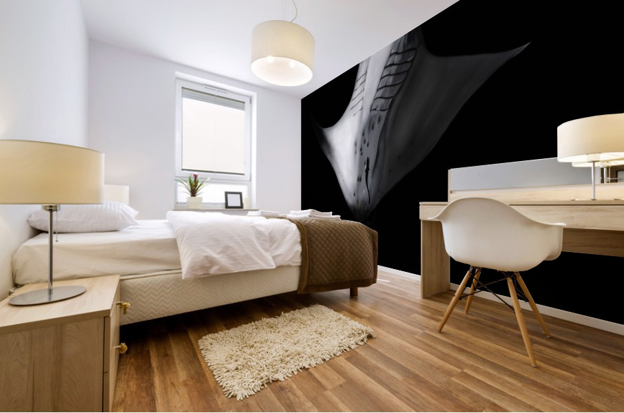 RAIE MANTA Mural print