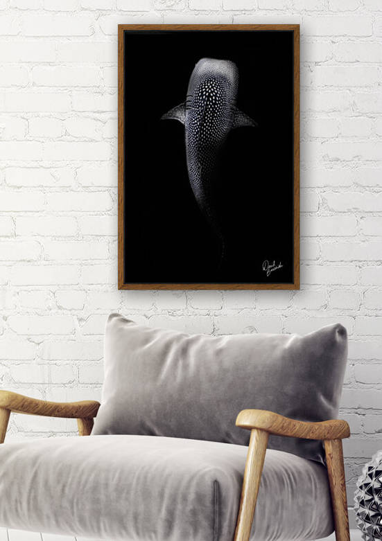 requin baleine by David BANASIAK