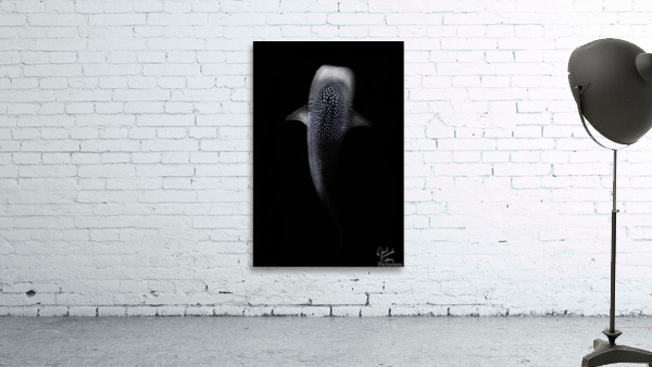 requin baleine Wall Preview