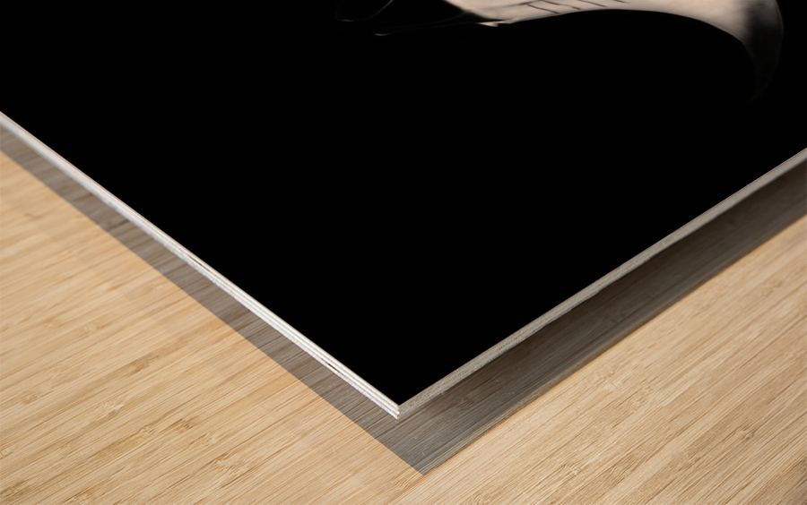 RAIE MANTA Wood print