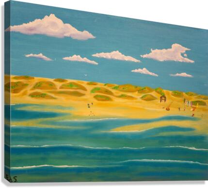 A-20 Baja beach Canvas Print