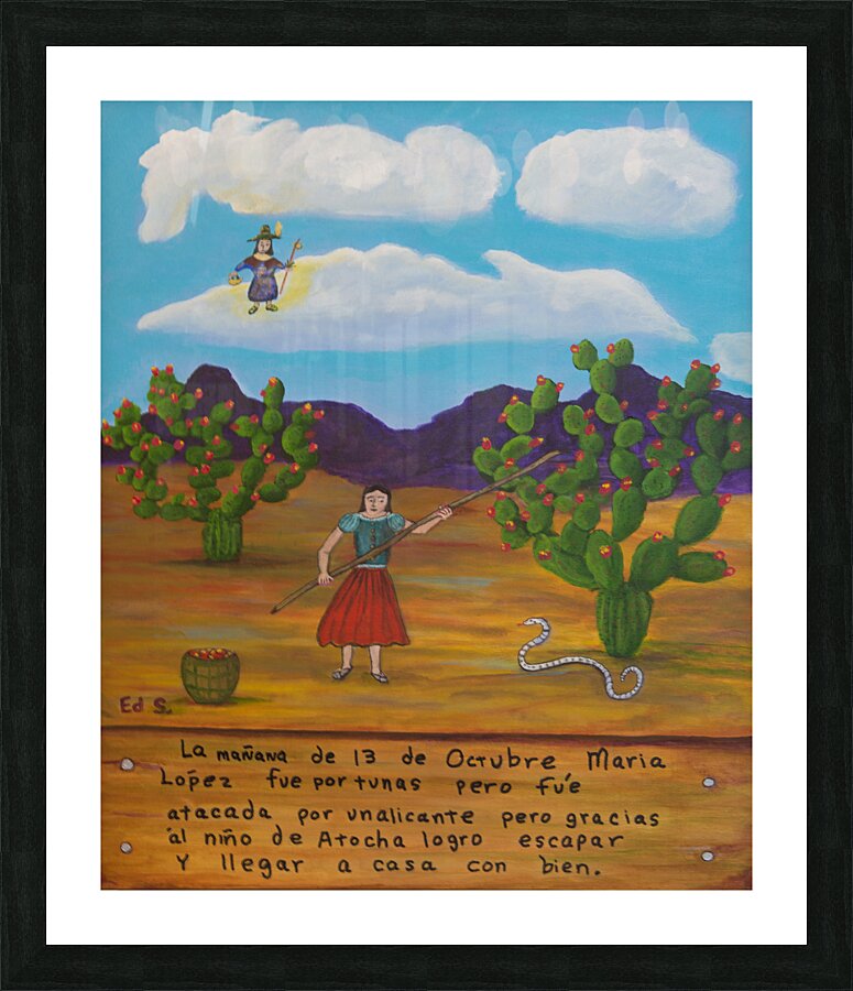  B-21Snake Attack  text Picture Frame print
