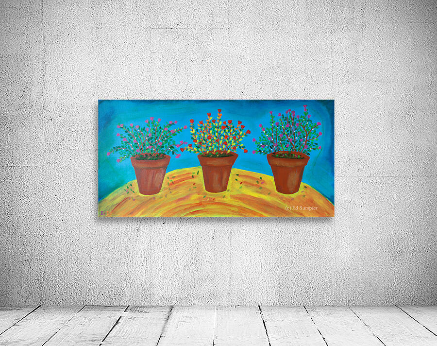 A-50 Three Pots Wall Preview