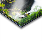 Toketee Falls 2x5 Acrylic print