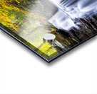 Ricketts Glen 6 Acrylic print