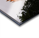 Front of the Minster  Acrylic print