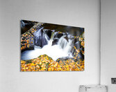 Ricketts Glen 4 Acrylic Print