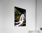 Ricketts Glen 7 Acrylic Print
